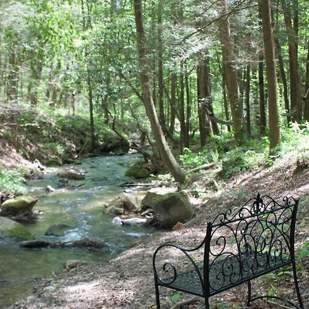 Private Creekside Cabin+Hot Tub,Pool Table, & Pets Ellijay Exterior foto