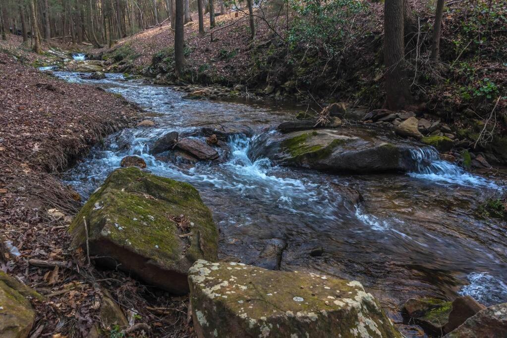 Private Creekside Cabin+Hot Tub,Pool Table, & Pets Ellijay Exterior foto