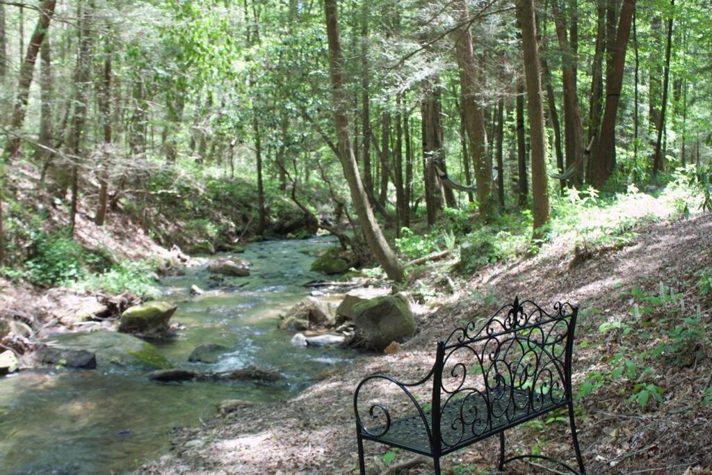 Private Creekside Cabin+Hot Tub,Pool Table, & Pets Ellijay Exterior foto
