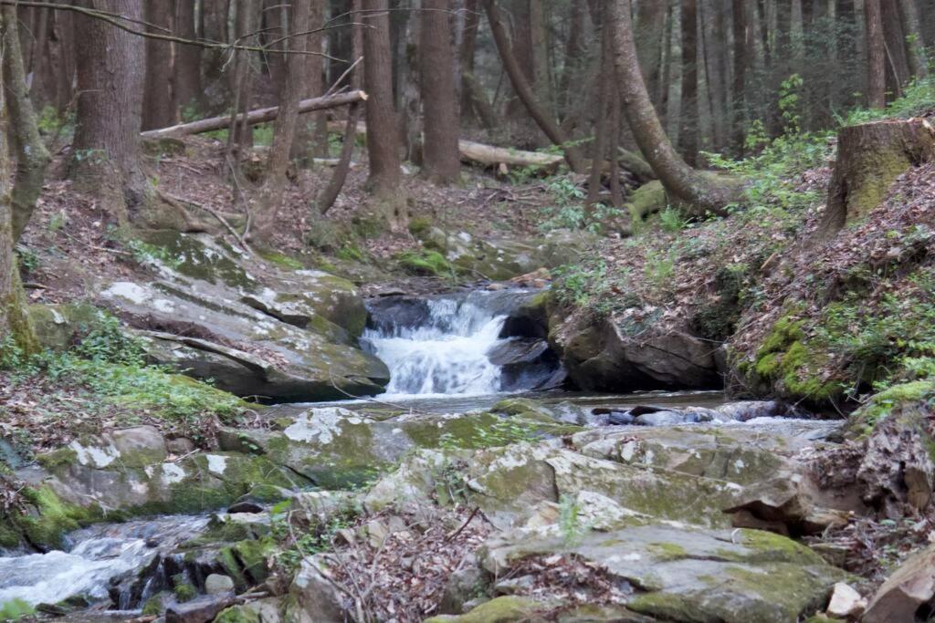 Private Creekside Cabin+Hot Tub,Pool Table, & Pets Ellijay Exterior foto